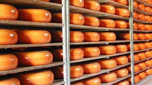 Dutch-dairy-firms-to-invest-700m-to-meet-export-demand-says-NZO_strict_xxl.jpg