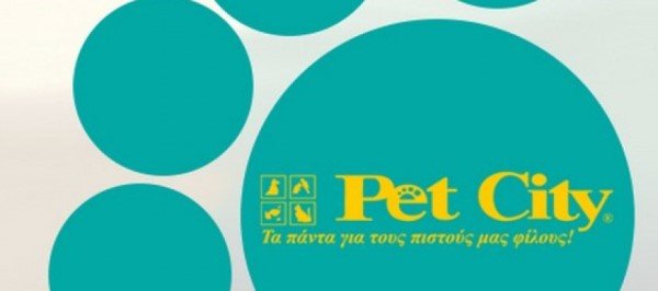 ergasia-petcity-890x395.jpg