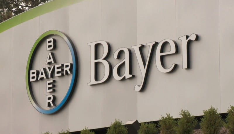 Bayer-222.jpg