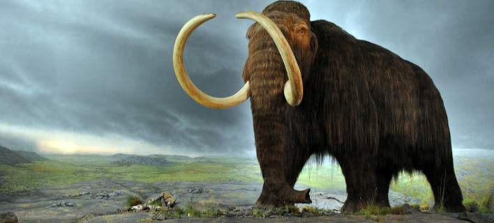 woolly_mammoth-708.jpg